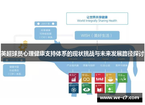 英超球员心理健康支持体系的现状挑战与未来发展路径探讨