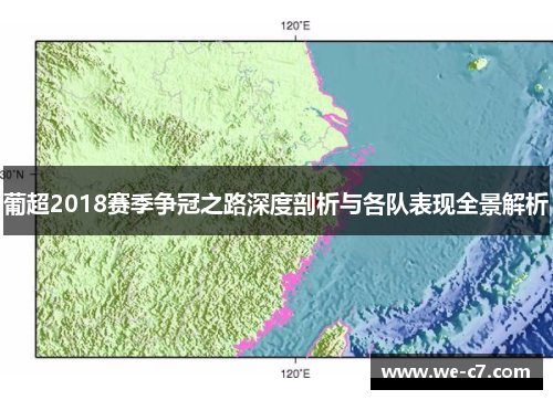 葡超2018赛季争冠之路深度剖析与各队表现全景解析