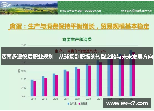 费南多退役后职业规划：从球场到职场的转型之路与未来发展方向