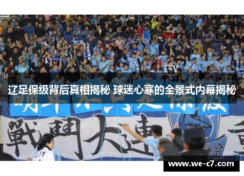 辽足保级背后真相揭秘 球迷心寒的全景式内幕揭秘
