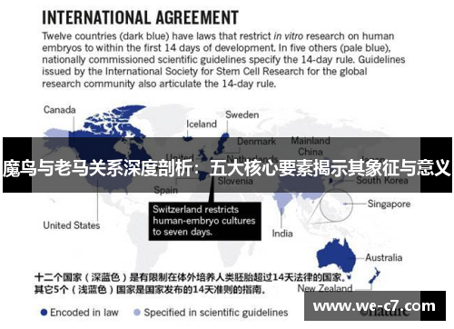 魔鸟与老马关系深度剖析：五大核心要素揭示其象征与意义