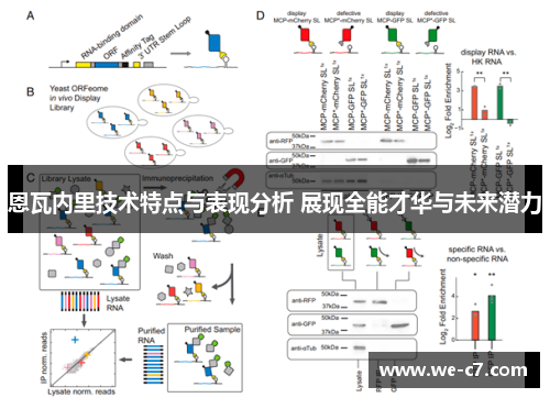 恩瓦内里技术特点与表现分析 展现全能才华与未来潜力